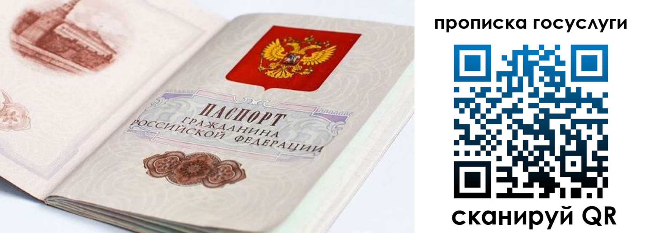 прописка гарантия в Дальнереченске